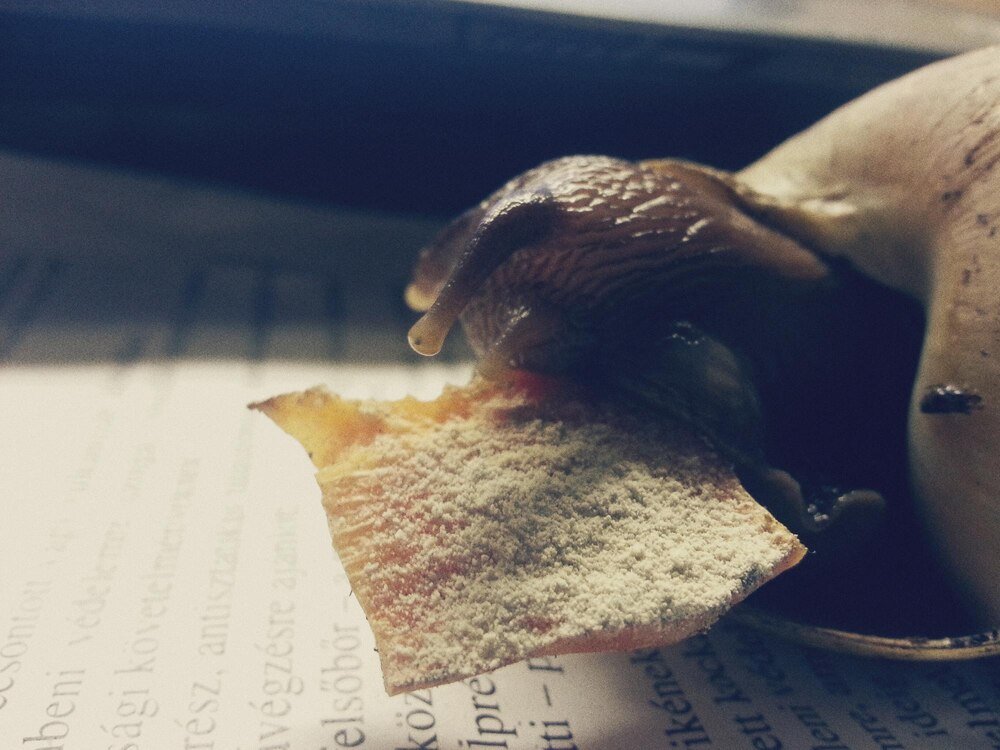 Historia spowiedzi w Polsce: kiedy wprowadzono spowiedź i jakie były jej konsekwencje dla chłopów pańszczyźnianych